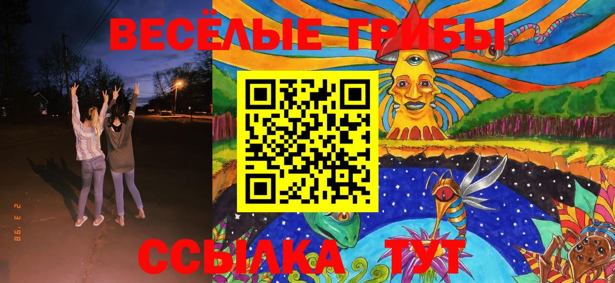 Псилоцибиновые грибы GOLDEN TEACHER Обнинск